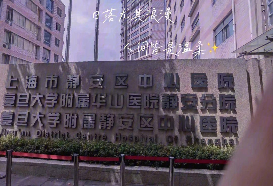 九游娱乐网址-雄鹿豪取胜利，上海征程继续胜势强悍(雄鹿又赢了)